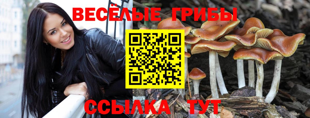 Псилоцибиновые грибы GOLDEN TEACHER Лиски